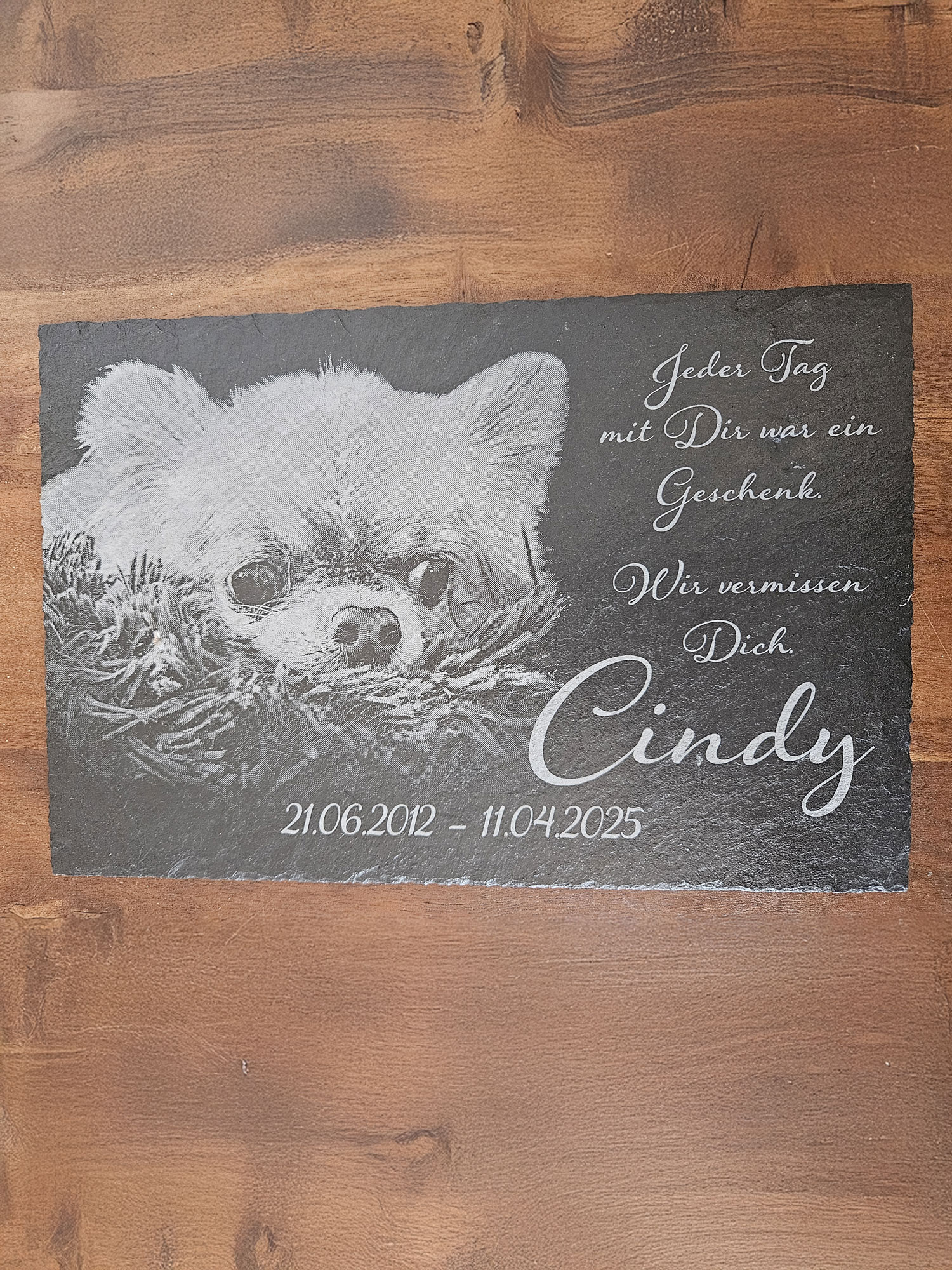 cindy_gedenktafel